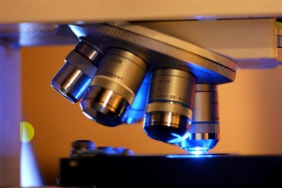 p.1_microscoop_small_400 p.1_microscoop_small_400